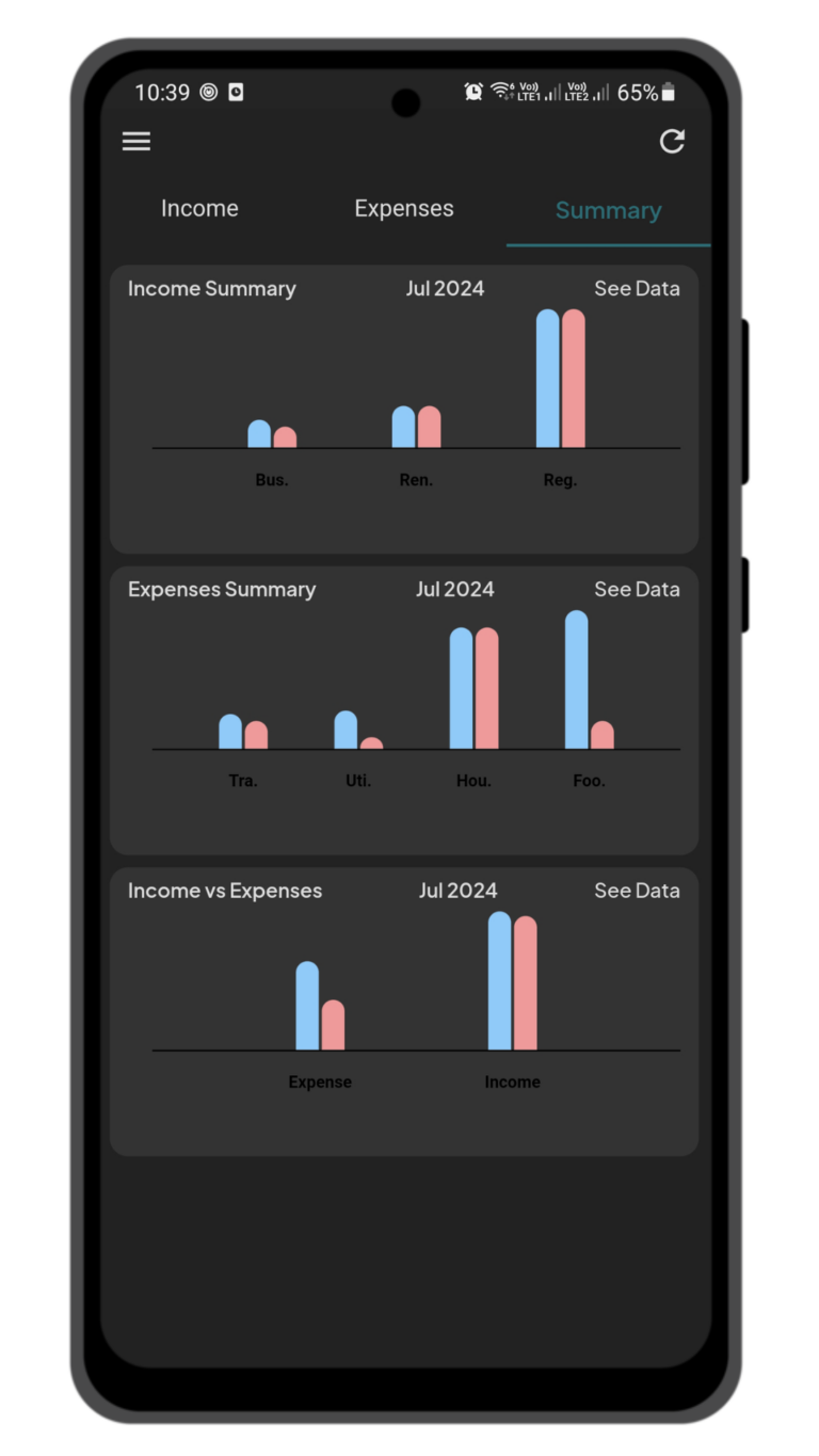 money in out summary dark mode